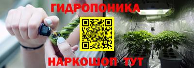 таблы Можга