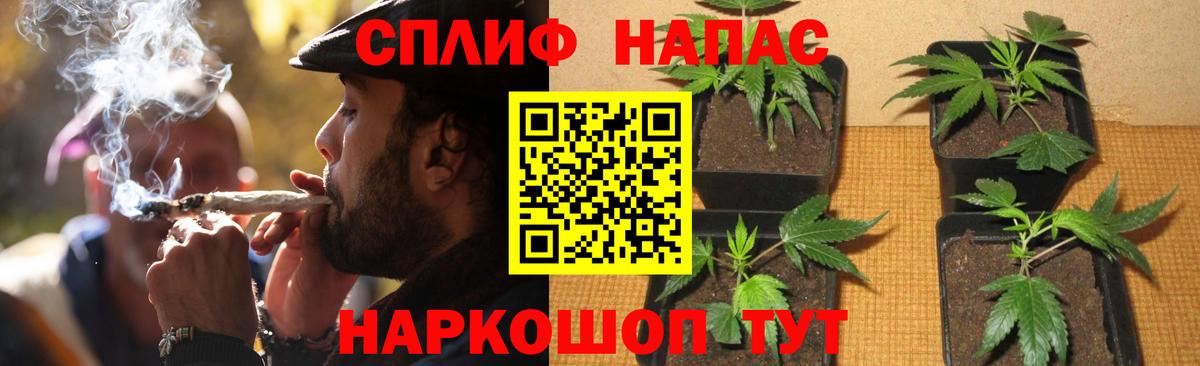 Шишки марихуана OG Kush  Вход с VPN  Элиста  Канабис VHQ 